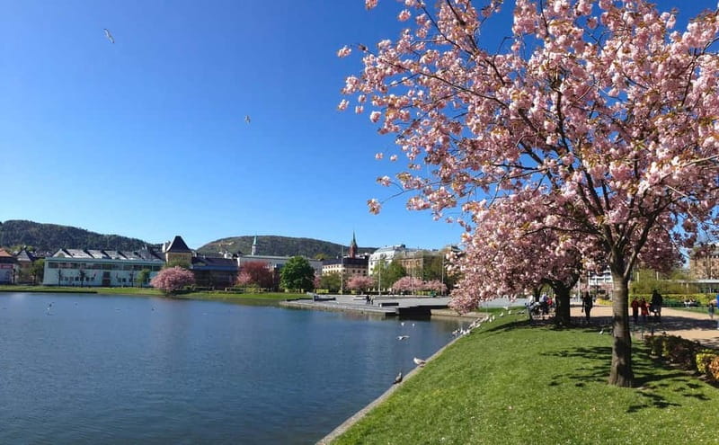 Bergen: Flam Railway, Stegastein and Fjord Cruise Day Tour - Nærøyfjord is the quiet center of the day