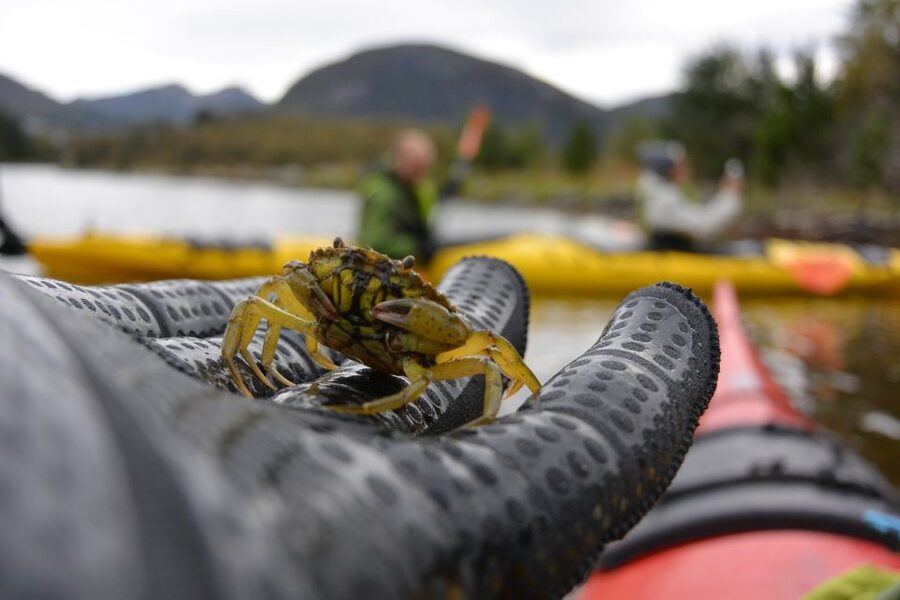 Bergen: Guided Fishing Tour with Outdoor Cooking - Why the small group matters