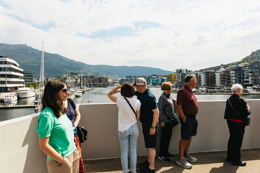 Bergen: Guided Minibus Tour with Photo Stops - Four photo stops with four different views