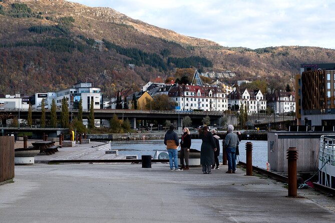 Bergen: Guided Tour by Minibus with Local Guide & Photostops - Downtown churches, the cathedral, and the university park