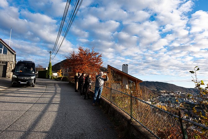 Bergen: Guided Tour by Minibus with Local Guide & Photostops - Solheimsviken and the changing Puddefjord