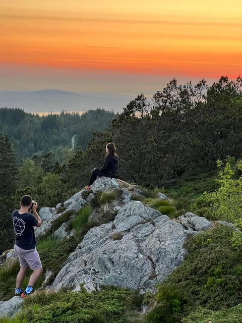 Bergen Magical Nature Tour | ViFlowExperience - Walking Fløyen’s forest paths for 3.5 hours