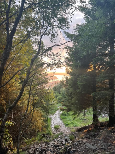 Bergen Magical Nature Tour | ViFlowExperience - Norwegian snacks and the high-altitude drink