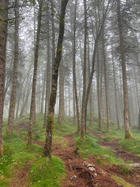 Bergen Magical Nature Tour | ViFlowExperience - The optional sauna and fjord dip