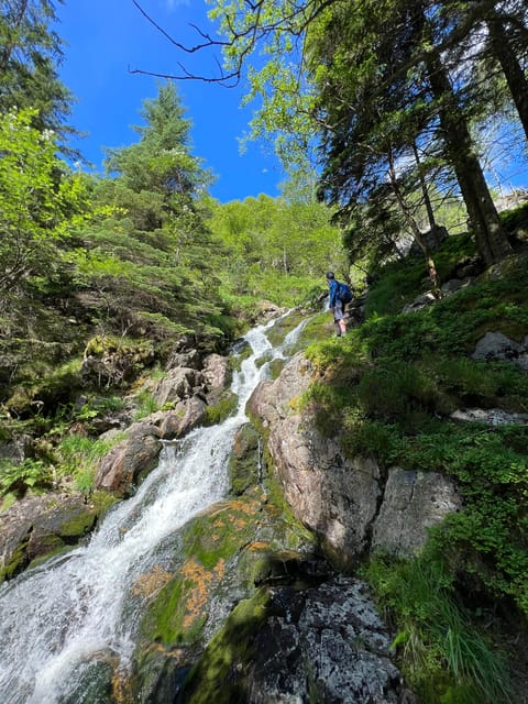 Bergen Magical Nature Tour | ViFlowExperience - Who will enjoy this Bergen outing