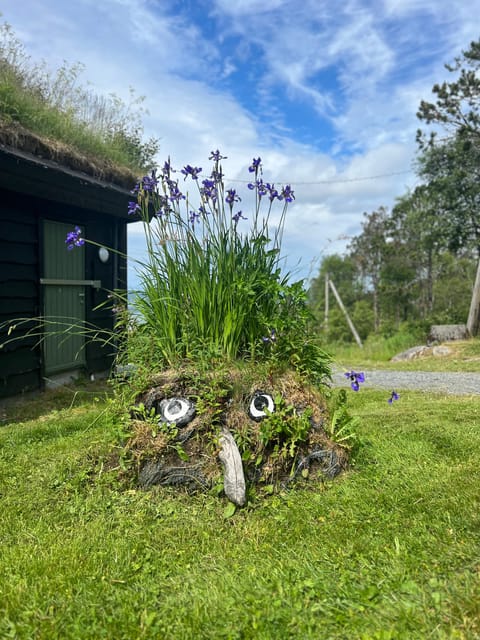 Bergen Magical Nature Tour | ViFlowExperience - Taking the Fløibanen up Fløyen