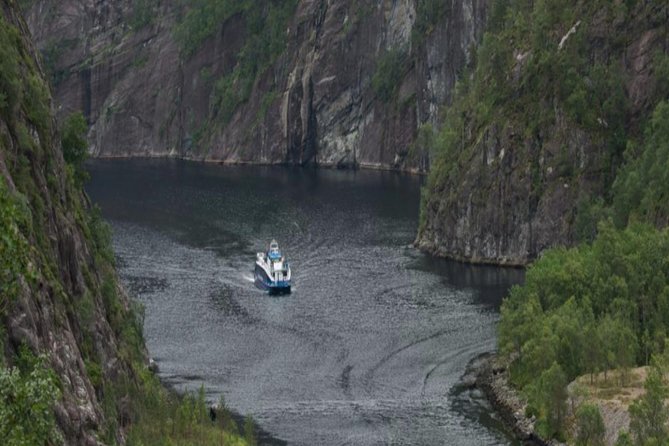Bergen: Mostraumen Fjord Cruise - Wildlife and the small details