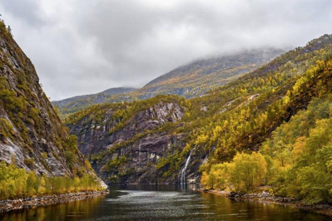Bergen: Mostraumen Fjord Cruise - Who will enjoy this cruise most?