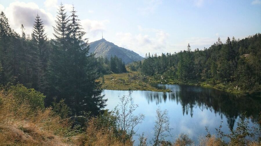 Bergen: Mountain hike on top of Bergen - Public tour - Key points to know before you book