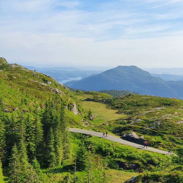 Bergen: Mountain hike on top of Bergen - Public tour - Walking 4 to 9 kilometers across mountain ground