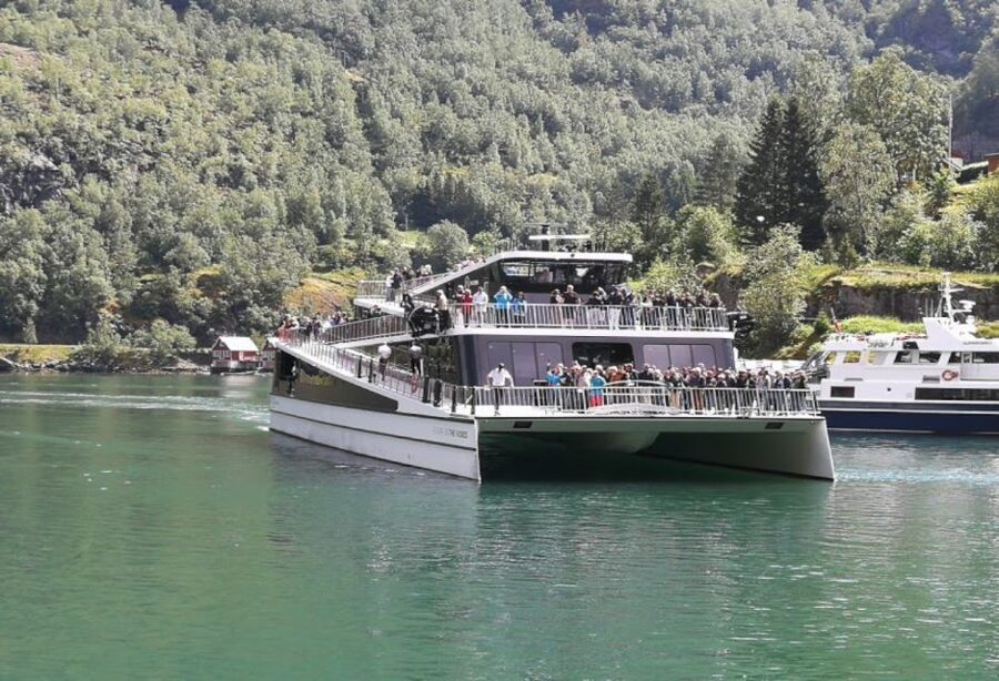Bergen: Nærøyfjord Cruise and Flåm Railway Ride to Oslo - What the $1,174 price really covers