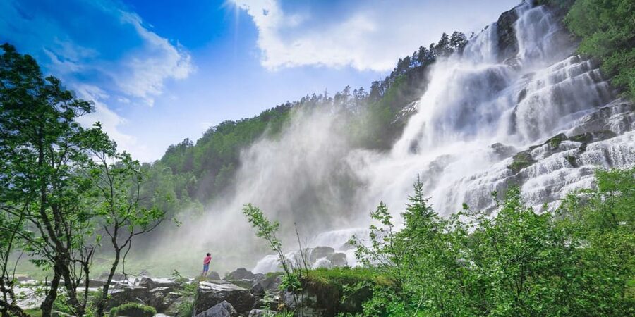 Bergen: Nærøyfjorden, Flåm, and Stegastein Guided Bus Tour - Key points to know before booking