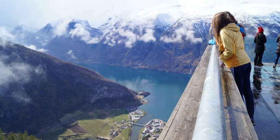 Bergen: Nærøyfjorden, Flåm, and Stegastein Guided Bus Tour - The Nærøyfjord cruise is the heart of the day