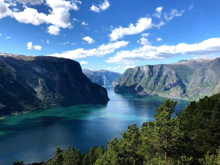 Bergen: Nærøyfjorden, Flåm, and Stegastein Guided Bus Tour - The guides make a long road day easier