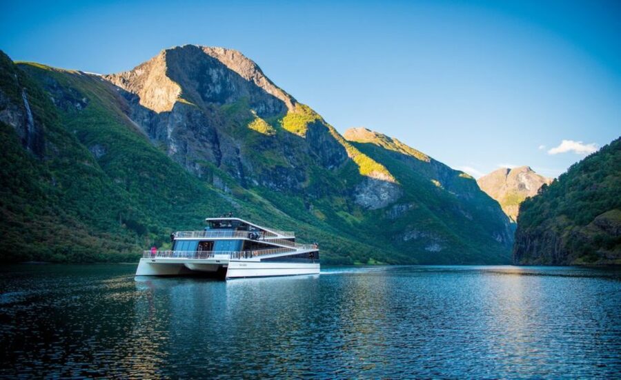 Bergen: Private Day Tour, Nærøyfjord Cruise and Flåm Railway - Flåm, with time that goes quickly
