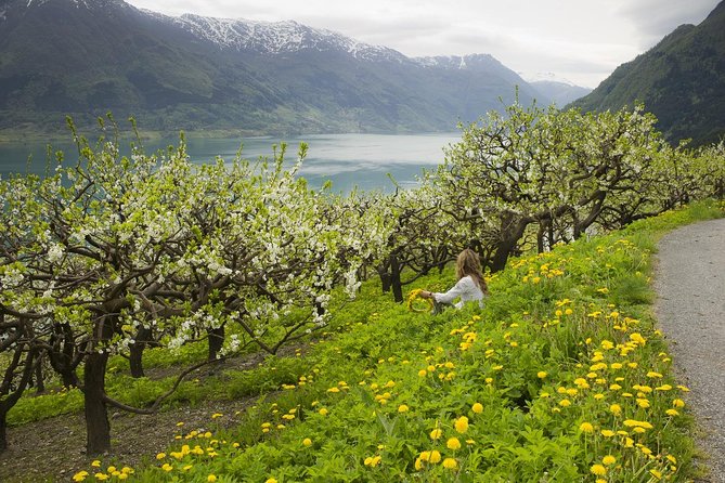 Bergen: Private Full-Day Roundtrip to Hardangerfjord with cruise - Crossing Hardangerfjord by boat