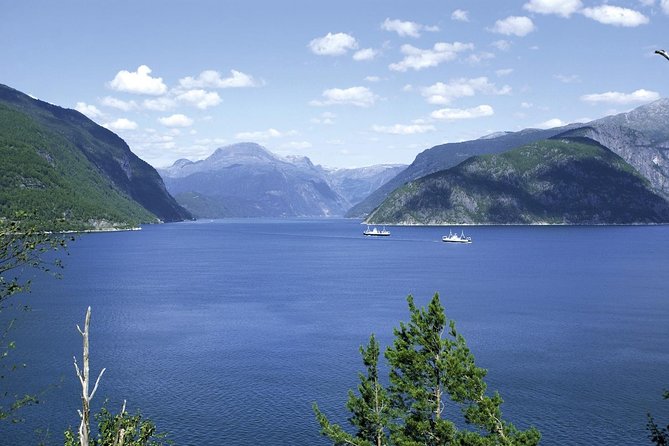 Bergen: Private Full-Day Roundtrip to Hardangerfjord with cruise - Hardanger Bridge and Eidfjord