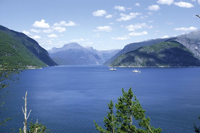 Bergen: Private Full-Day Roundtrip to Hardangerfjord with cruise - Vøringfossen and the final big view