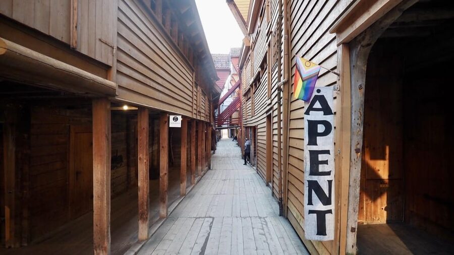 Bergen: Private tour in your own language - Two hours is short, but the route is well judged