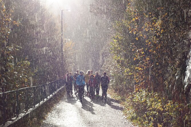 Bergen Private Walking Tour with a Local - Price, group size, and value at $72.29