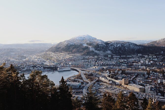 Bergen Private Walking Tour with a Local - The fish market and the working harbor