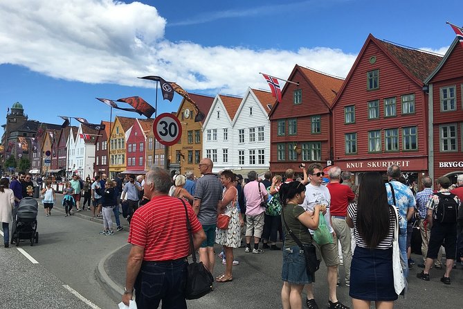 Bergen Private Walking Tour With A Professional Guide - Why this private walk works well in Bergen