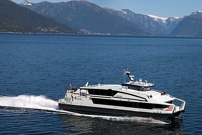 Bergen: Self-Guided Roundtrip (Sognefjord Cruise 5h & Flamsbana) - The train and bus connections through western Norway
