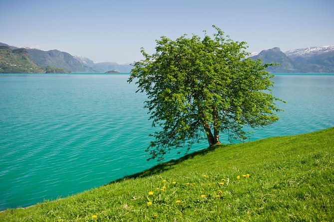 Bergen: Self-Guided Roundtrip (Sognefjord Cruise 5h & Flamsbana) - Start at Strandkaiterminalen, not Bergen Station