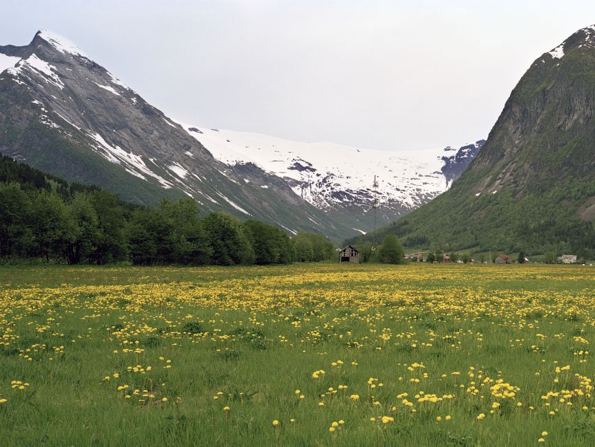 Bergen: Self-Guided Trip to Oslo with Sognefjord cruise (5h) - Why this route packs Norway’s best scenery into one day