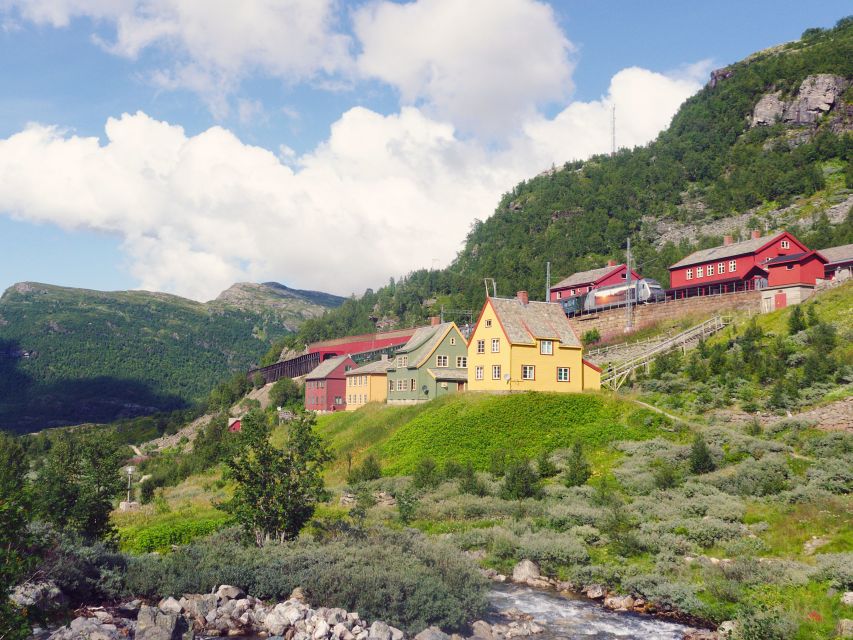 Bergen: Self-Guided Trip to Oslo with Sognefjord cruise (5h) - Sognefjord from the water