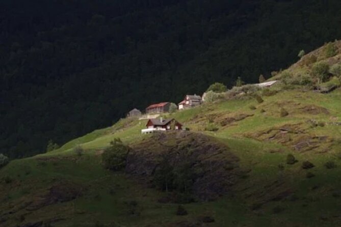 Bergen to Flam "The King of Fjords" One-Way or Round-Trip Cruise Ticket - Who should book this fjord journey?