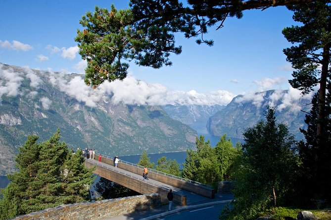 Bergen to Sognefjord Private Roudtrip with Cruise and Flasmbana - The Flåm Railway is the scenic centerpiece