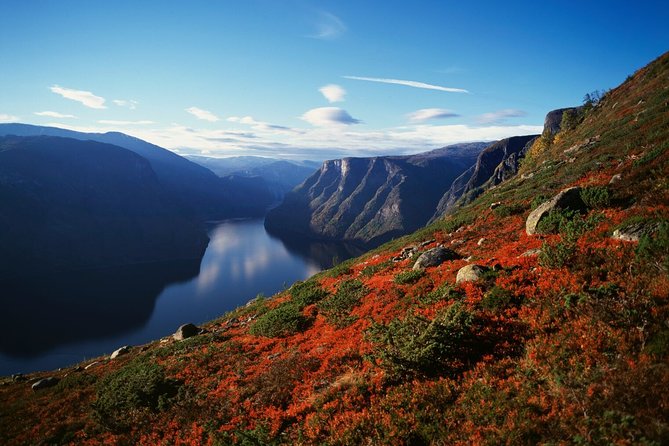 Bergen to Sognefjord Private Roudtrip with Cruise and Flasmbana - Voss is the final stop before Bergen