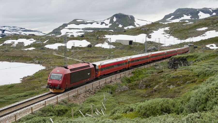 Bergen: Viking Village, Nærøyfjord Cruise & Flåm Railway - Is $418 a fair price?