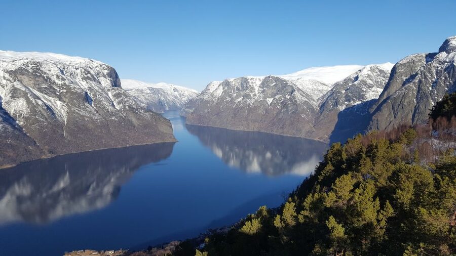 Bergen: Viking Village, Nærøyfjord Cruise & Flåm Railway - Cruising the narrow Nærøyfjord