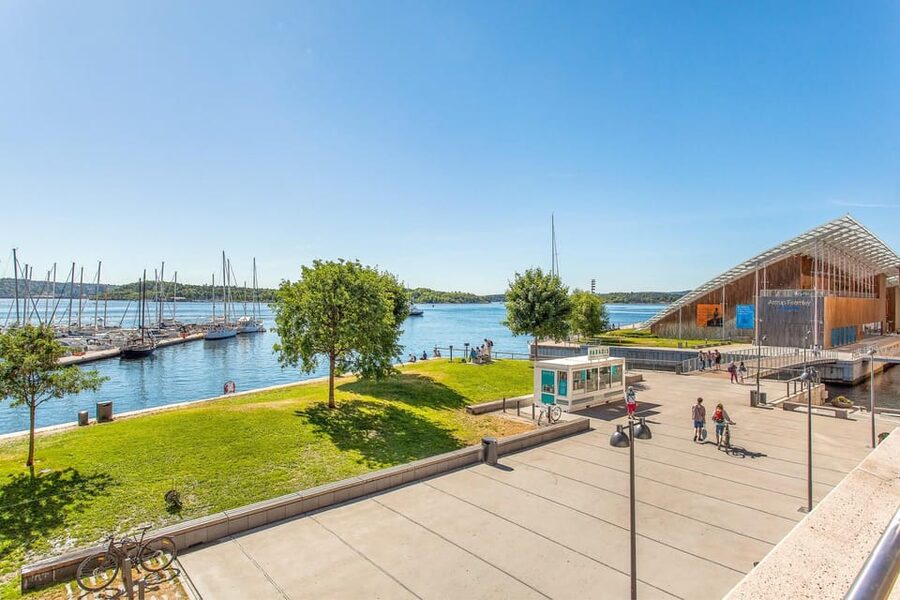 Best of Oslo: Walking Tour with a local guide - Walking conditions, timing, and access