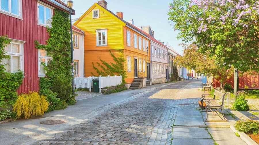 Best of Trondheim: Private Walking Tour with a Local - What the $55 price buys you