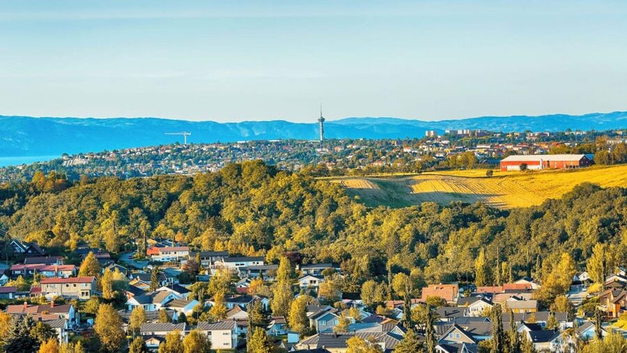 Best of Trondheim: Private Walking Tour with a Local - Who will enjoy this walk most?