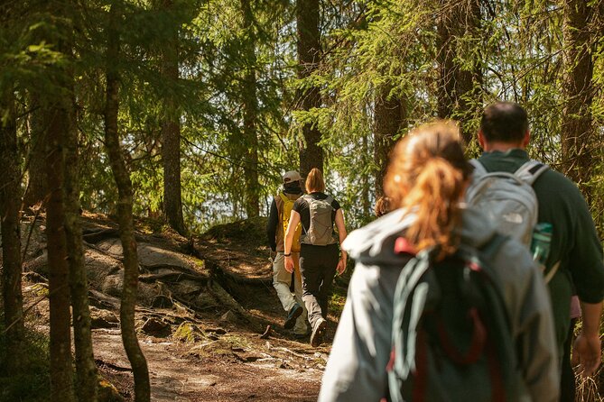 Best View of the Oslofjord Hike - Frognerseteren: where the city gives way to forest