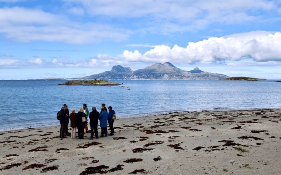 Bodø: Arctic Coastal Walk - Two Hours Along the Norwegian Sea