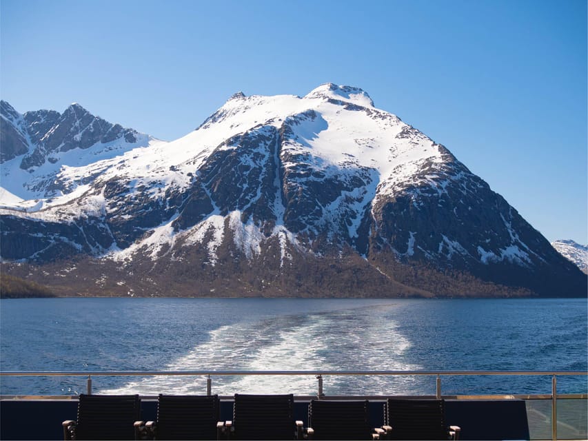 Bodø: Beiar Fjord & Saltstraument Cruise - Saltstraumen, where the water gets dramatic