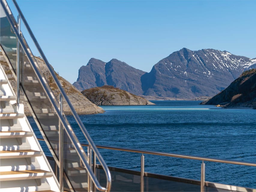 Bodø: Beiar Fjord & Saltstraument Cruise - A quiet start on the water