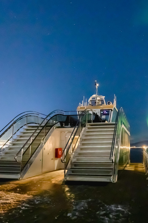 Bodø: Northern Lights Cruise - Boarding near Quality Ramsalt hotel