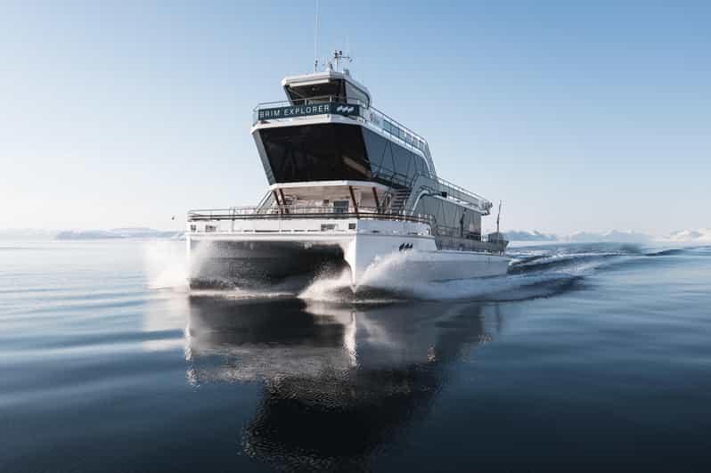 Bodø: Northern Lights Cruise - How much value you get for $103