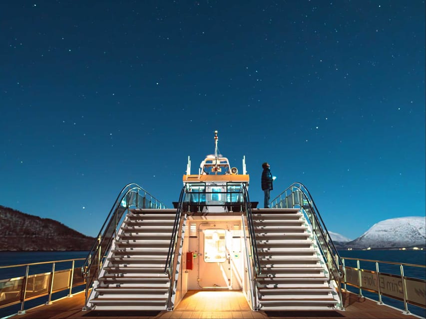 Bodø: Northern Lights Cruise - Booking details worth knowing