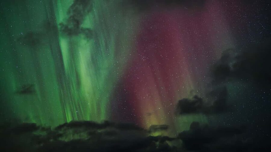 Bodø: Northern Lights safari - Key points to know before booking