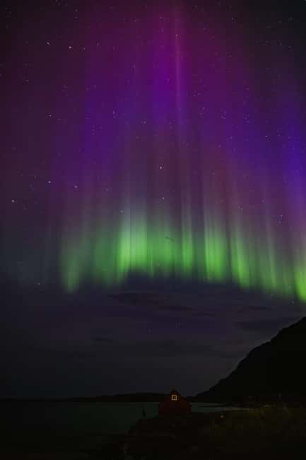 Bodø: Northern Lights safari - Chasing the aurora beyond Bodø’s city lights