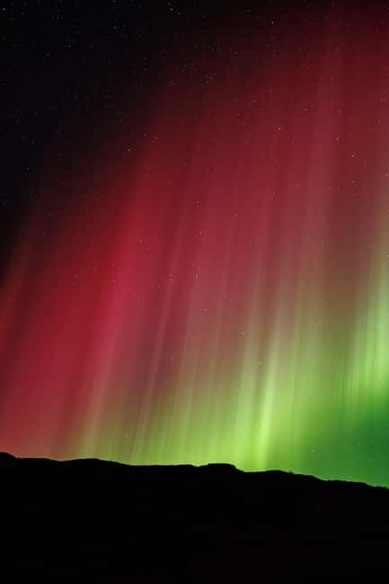 Bodø: Northern Lights safari - Who will enjoy this Bodø night tour?