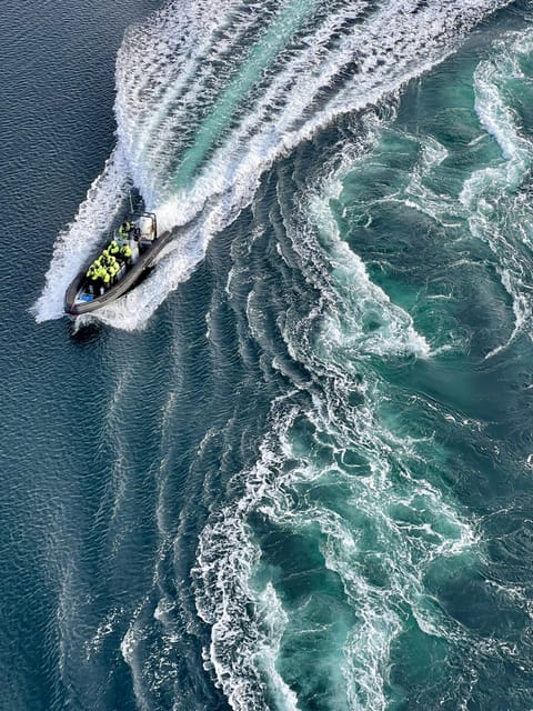 Bodø: Saltstraumen RIB Safari - Key points to know before you book