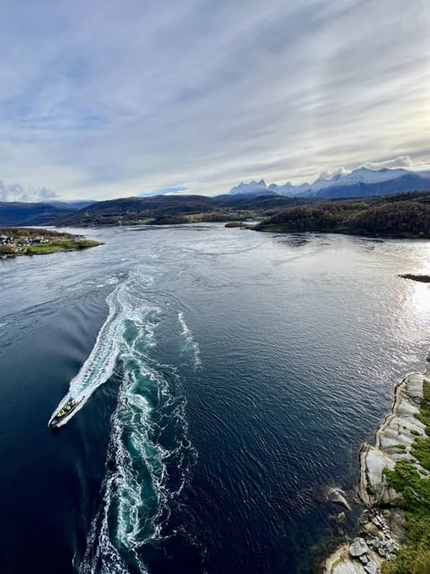 Bodø: Saltstraumen RIB Safari - The first run across the Norwegian Sea